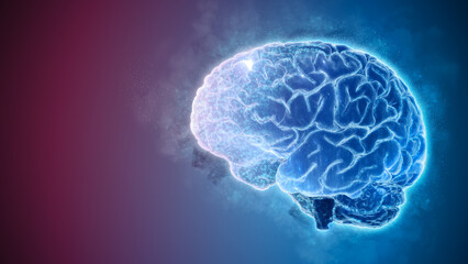 3d rendering of a brain	
