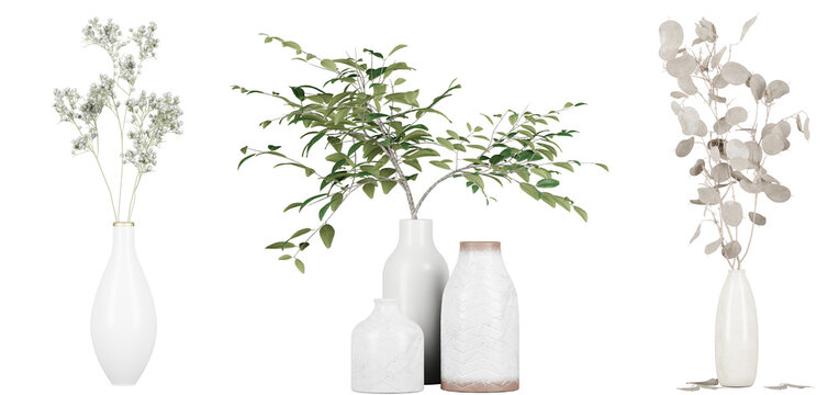 decoration plants in vase isolated on transparent or white background