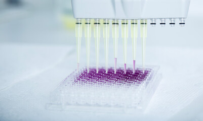 cell culture at the biology and cell laboratory