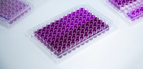 cell culture at the medicine and biology laboratory