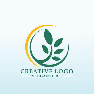Logo design for hemp Produce Company