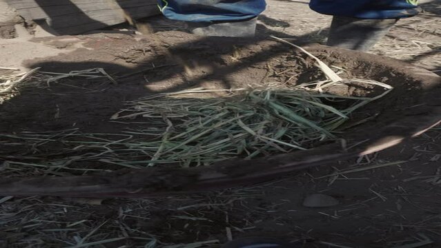 person mixing straw and earth for the technical construction of bioconstruction