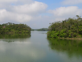 Fototapeta na wymiar Lago calmo entre vegetação