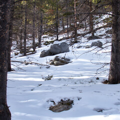Grey rocks in the snow in the Bighorn National Forest on a winter day in Wyoming.