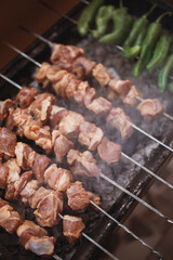 fried tomatoes peppers and garlic on the grill. Barbecue. Shish kebab and grilled peppers on hot grill. Turkish style meat shish kebab on barbecue