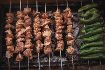 fried tomatoes peppers and garlic on the grill. Barbecue. Shish kebab and grilled peppers on hot grill. Turkish style meat shish kebab on barbecue