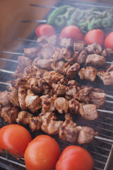 fried tomatoes peppers and garlic on the grill. Barbecue. Shish kebab and grilled peppers on hot grill. Turkish style meat shish kebab on barbecue