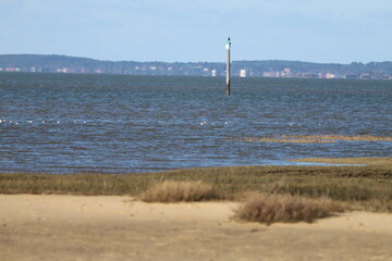 Un paysage du Bassin d’Arcachon