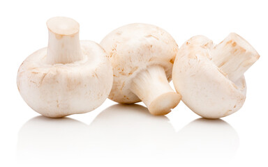 Three champignon mushrooms isolated on white background