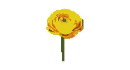 pixelated persian buttercup