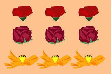 vector abstract flowers simple collage