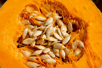Pumpkins on a wooden background
