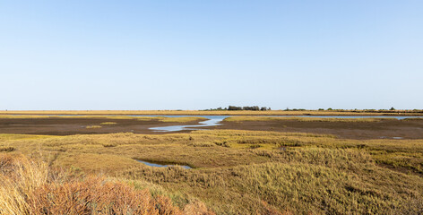 Ria Formosa Natural Park, Santa Luzia, Algarve