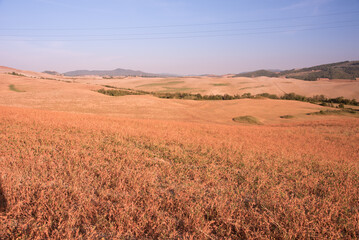 Tuscany panorama, rolling hills and fields at sunset - 563399033