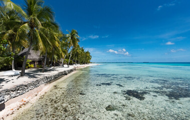 Tikehau Atoll, French Polynesia