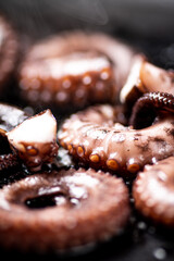 An octopus in a frying pan. 