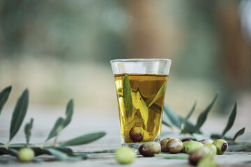 Olive oil bottle and olive oil in glass on old wooden table under olive tree.