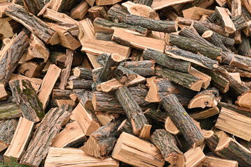 Lots of firewood. Fuel from renewable sources.