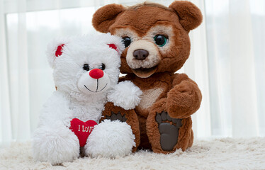 Valentine's day concept. Two funny teddy bears brown and white with a red heart sit and hug cutely on a white background.