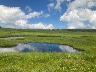 雨竜沼湿原