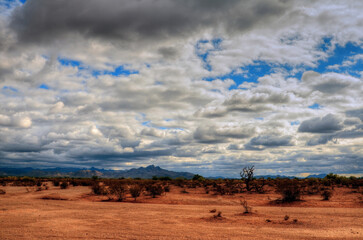 Sonora Desert Arizona