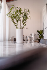 beautiful apartment, interior