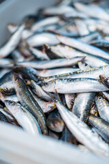 Fresh fish on ice