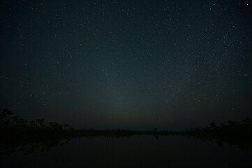 Geminid meteor and field of stars above Pine Glades Lake in Everglades National Park, Florida on...