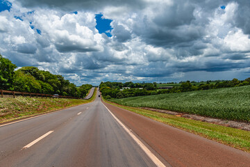 Fototapeta premium road with clouds