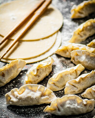 Making homemade a gyoza dumplings. 
