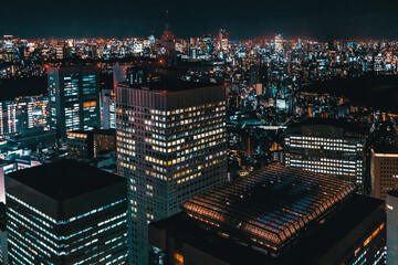 Fototapeta na wymiar Skyscrapers at night in Shinjuku, Tokyo, Japan