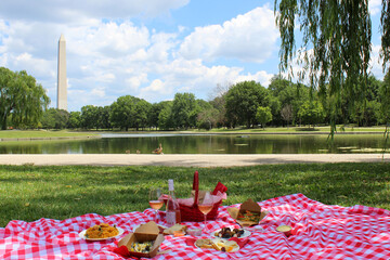 Chic picnic basket and food  on a red checks blanket on the grass by a lake, under weeping willow, with DC National Monument in the background and a blue sky with white clouds