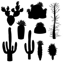 silhouette vector, cactus and tree © rosy