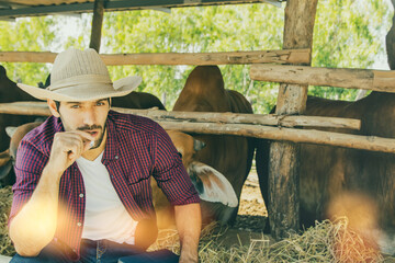 Portrait handsome male farmer cowherd sits smoking cigarettes in a barn raising Brahman beef cattle...