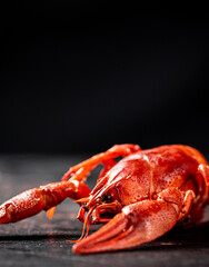 One red boiled crayfish on the table.