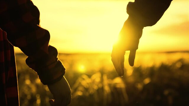 Mom, child son hold hands close-up, teamwork. Mother pulls her hand to child, son takes his mother by hand in rays of sunset. Happy family. Parent, child. Concept of trust, safety family. Kid sun