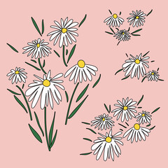 Blossom Daisy Elements. Retro 1970 Peace Style. Floral Seventies Icon. Hand drawn abstract flowers and bouquet