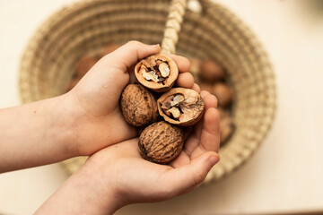 Child hands holding walnuts. Closeup. walnut in a basket chopped nut source of vitamin and health