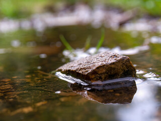 Macro photography of a pebble in a rain puddle, captured in a farm near the town of Villa de Leyva in central Colombia.