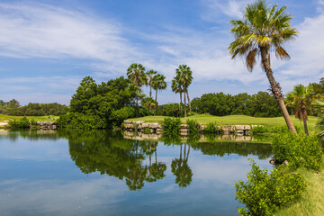 Fototapeta na wymiar Beautiful view of blue water surface of pond with golf courses against blue sky with white clouds. Aruba.