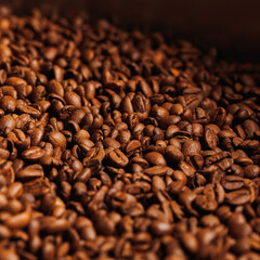 Fresh roasted coffee beans for espresso, brown background