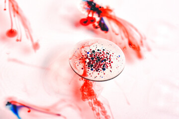 Blood cell smear under microscope for vaccine research, Bacterias and micro organisms colonies in...
