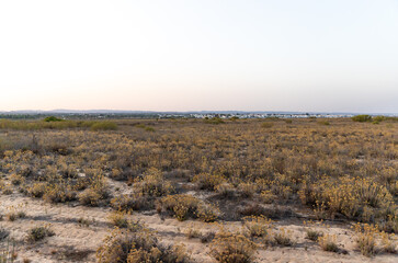 Sunset on the dunes, Praia do Barril, Ria Formosa Natural Park, Algarve