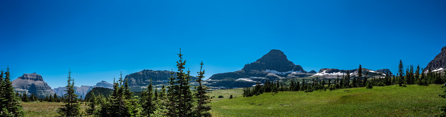 Snow melt water pooled along path to Logan Pass in Glacier National Park, Montana, USA. 