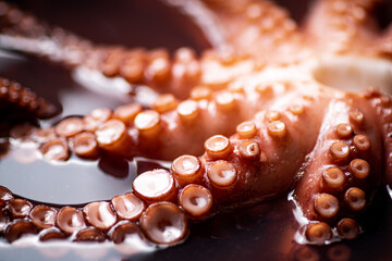 The tentacles of the octopus are boiled in water.