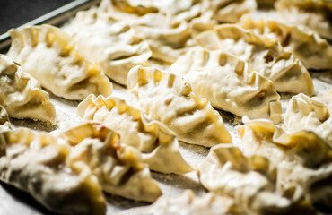 Raw dumplings gyoza on a baking sheet. Against a dark background.