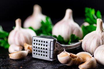 Garlic with parsley and garlic press. 