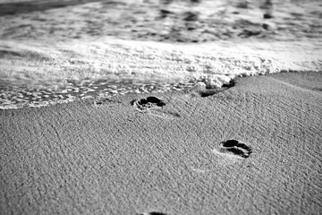 footprints on the sand - obrazy, fototapety, plakaty