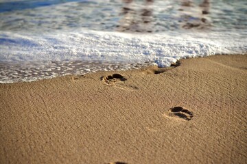 footprints on the sand - obrazy, fototapety, plakaty