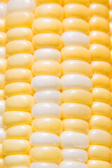 close up of corn